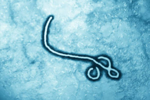 Ebolafieber